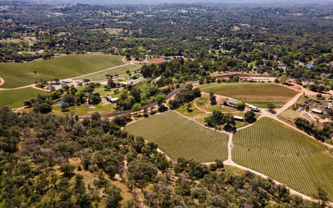 Lecavalier - vineyard arial shot
